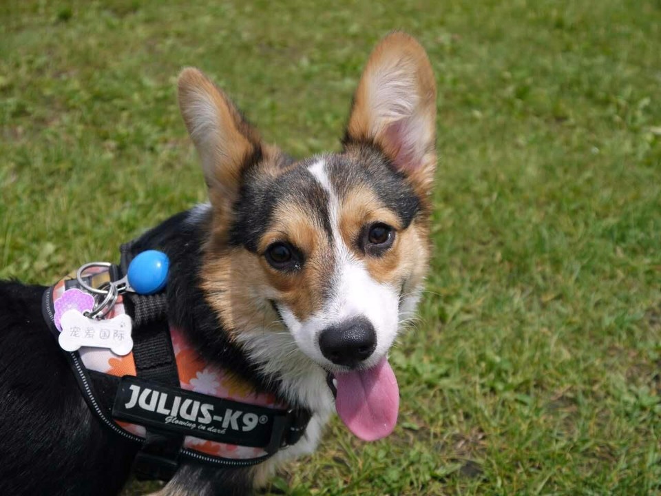 mmexport1497097037341