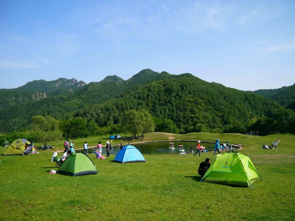 mmexport1497096998559