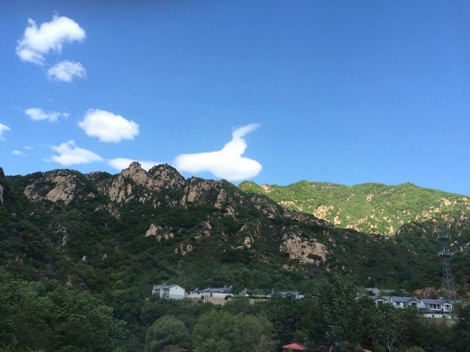 mmexport1494074938573