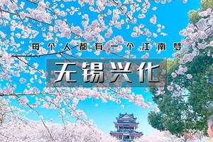 无锡兴化｜烟雨江南-太湖鼋头渚樱花·网红拈花湾·蠡园桃花·兴化油菜花