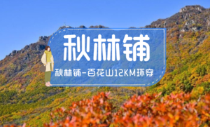 周末1日｜森林徒步系列秋林铺-百花山户外经典12公里环穿，赏五彩秋景（中等强度)