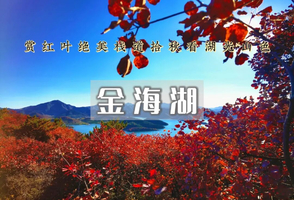 1日｜金海湖•小众绝美徒步栈道-俯瞰金海湖+赏绝美秋景湖光山色