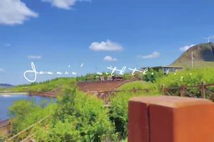 坝上草原七彩森林