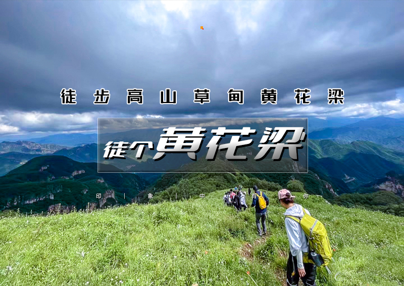 ▌▌印象头图.jpg
