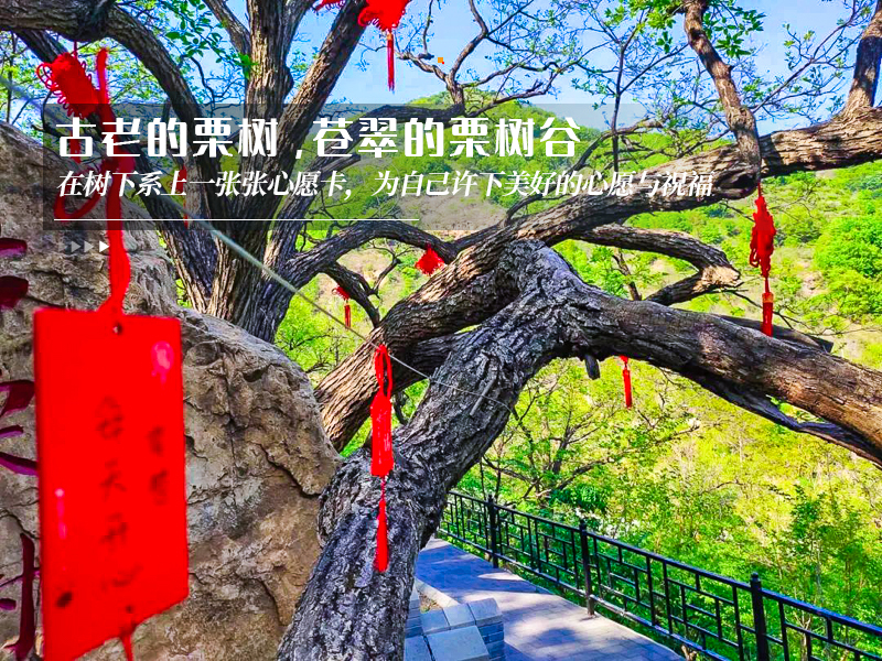 ★印象细图F1.jpg