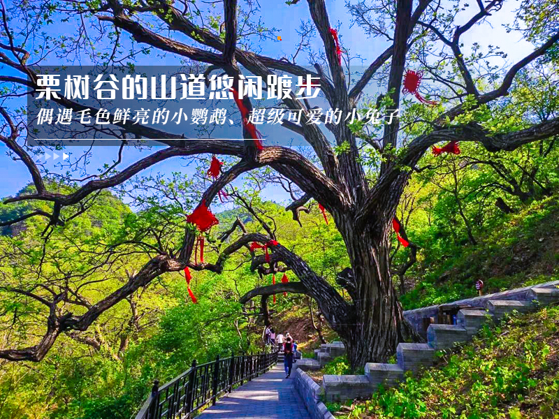 ★印象细图F2.jpg