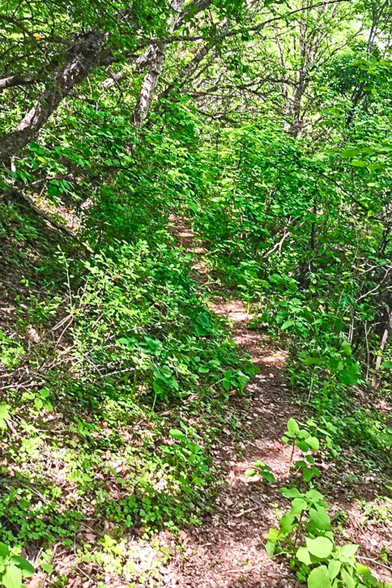 180522_1C5AB.jpg-.jpg