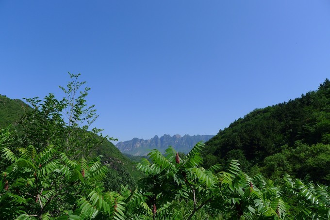 wKgBs1dnqsmAeAnlAAqRAUWOzf081.jpg