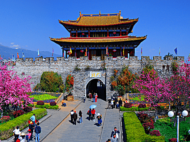 图片