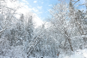 【戏雪长白】·冬日亲子4天3晚｜高性价比 |魔法主题酒店|亲子滑雪体验|泡温泉|萌宠乐园|雾凇漂流|原始冬捕|徒步雪原