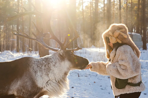 【雪国列车SUV小团】深度纯玩5天4晚丨北极村+北红村+圣诞村+龙江第一湾+中国最北点+白桦林+马拉爬犁+驯鹿+滑雪