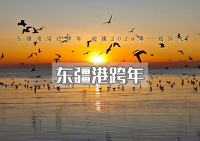 元旦｜天津跨年｜东疆港海边日出•迎接2026年曙光-西伯利亚海鸥-打卡天津网红点（休闲）