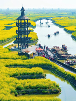 清明3日｜扬州乌镇 • 烟花三月下扬州，邂逅千垛花田的浪漫-扬州-瘦西湖-何园-乌镇