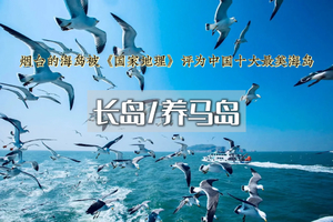 五一4日｜长岛/养马岛•长岛-打卡网红养马岛-渔人码头-黄海和渤海的交界处