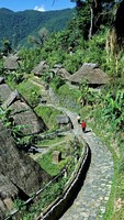 7月16日--24日|暑假【滇西南】云南虫谷：哀牢山；最后的原始部落：翁丁；莫里原始雨林；腾冲和顺古镇；瑞丽；大理古城
