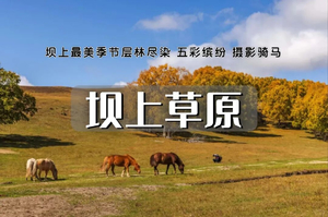 中秋/国庆｜坝上草原｜神仙谷七彩森林-闪电湖-草原娱乐场-骑马-篝火晚会-烤全羊休闲游