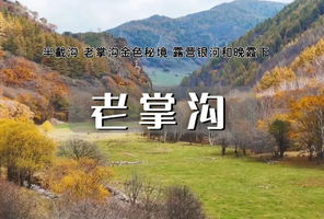 老掌沟露营｜塞上金秋露营体验-赏老掌沟半截沟秋日美景-层林尽染