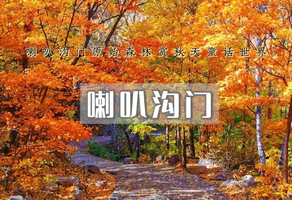 1日｜喇叭沟门｜穿越原始森林 走进五彩斑斓童话世界-探寻北京最美秋色