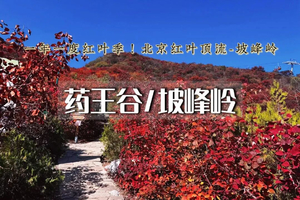 1日｜药王谷坡峰岭｜京郊秋日徒步 黄元寺-药王谷-坡峰岭《中国国家地理》杂志力荐赏秋地