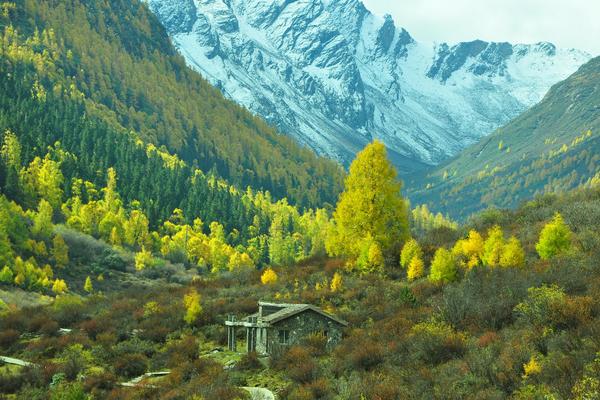 玛嘉沟 | 藏区秘境 高山湖泊原始森林绿色氧吧3日游--周五发团