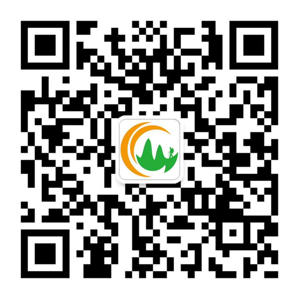 迈高飞体育服务号二维码