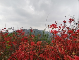 微信图片_202103310913004