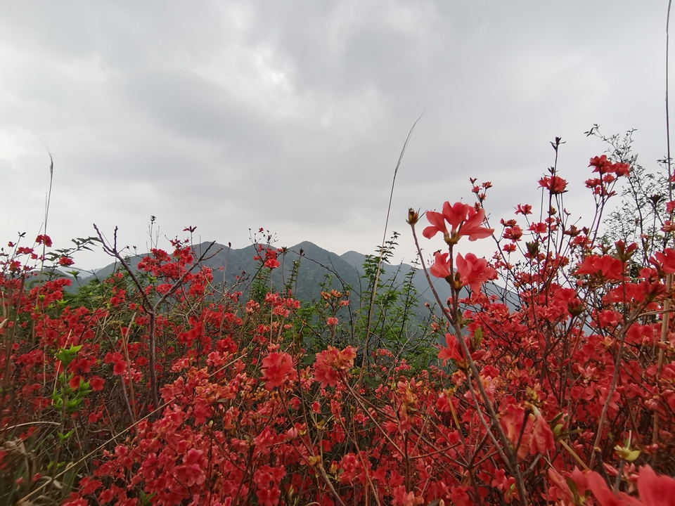 微信图片_202103310913004