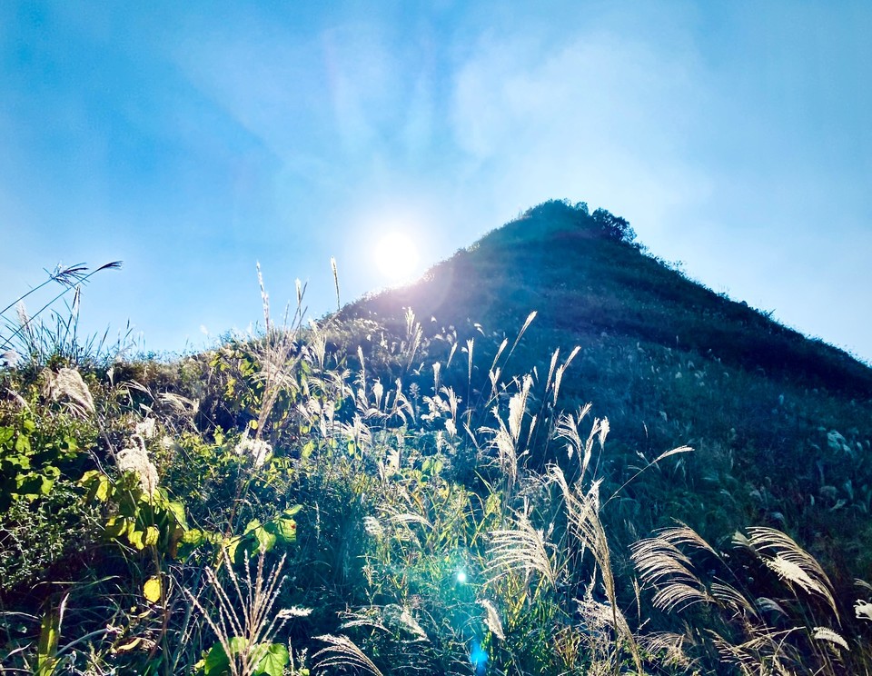 mmexport1571496281646