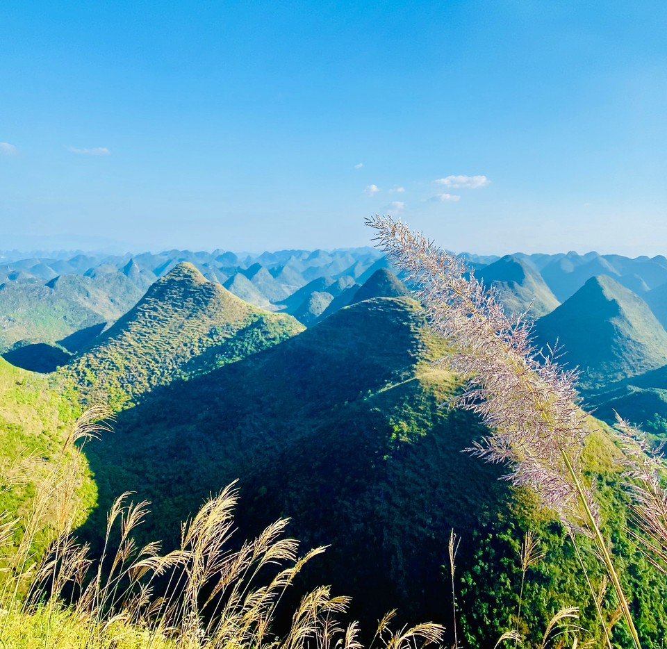 mmexport1571496273651