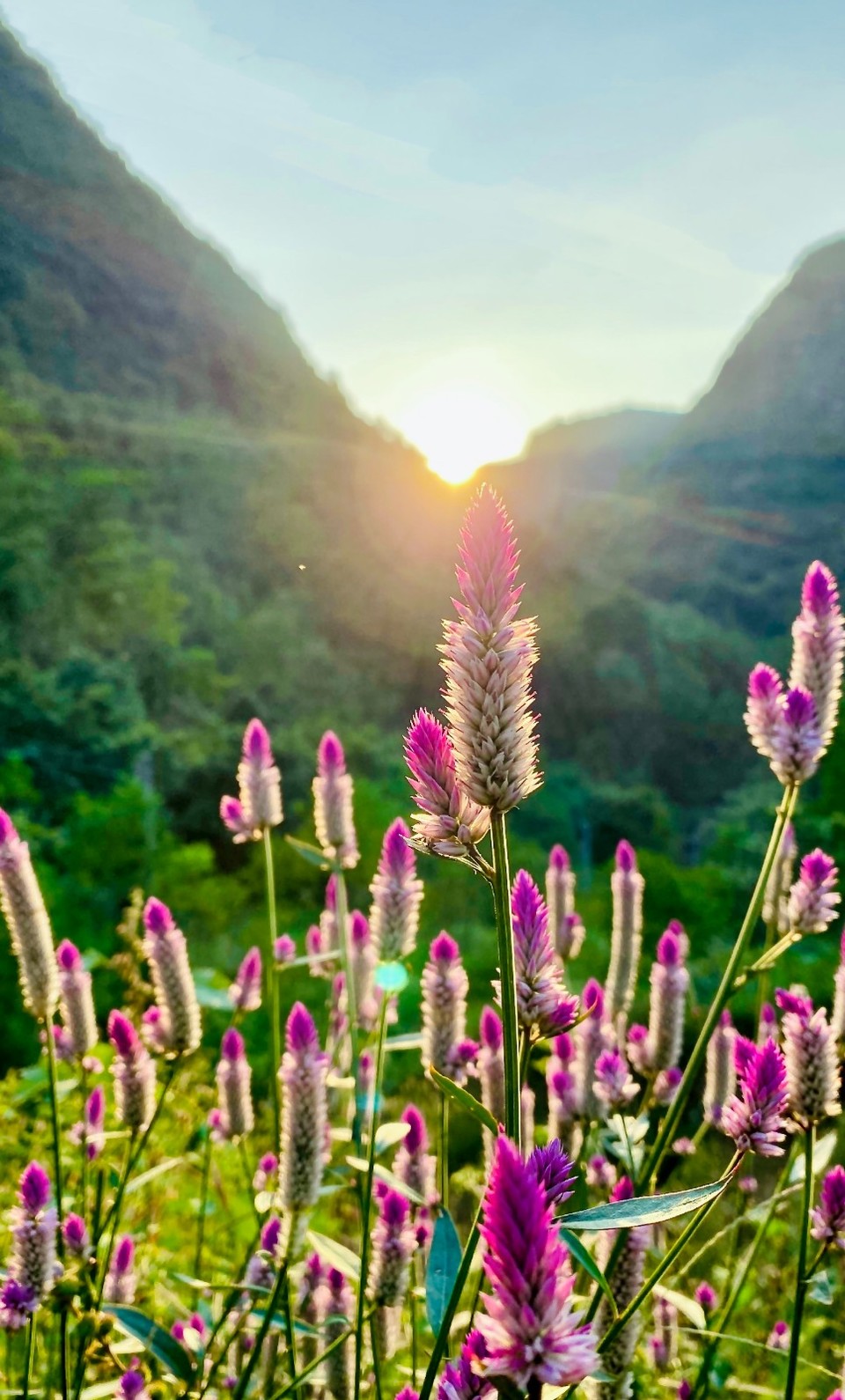 mmexport1571495786383