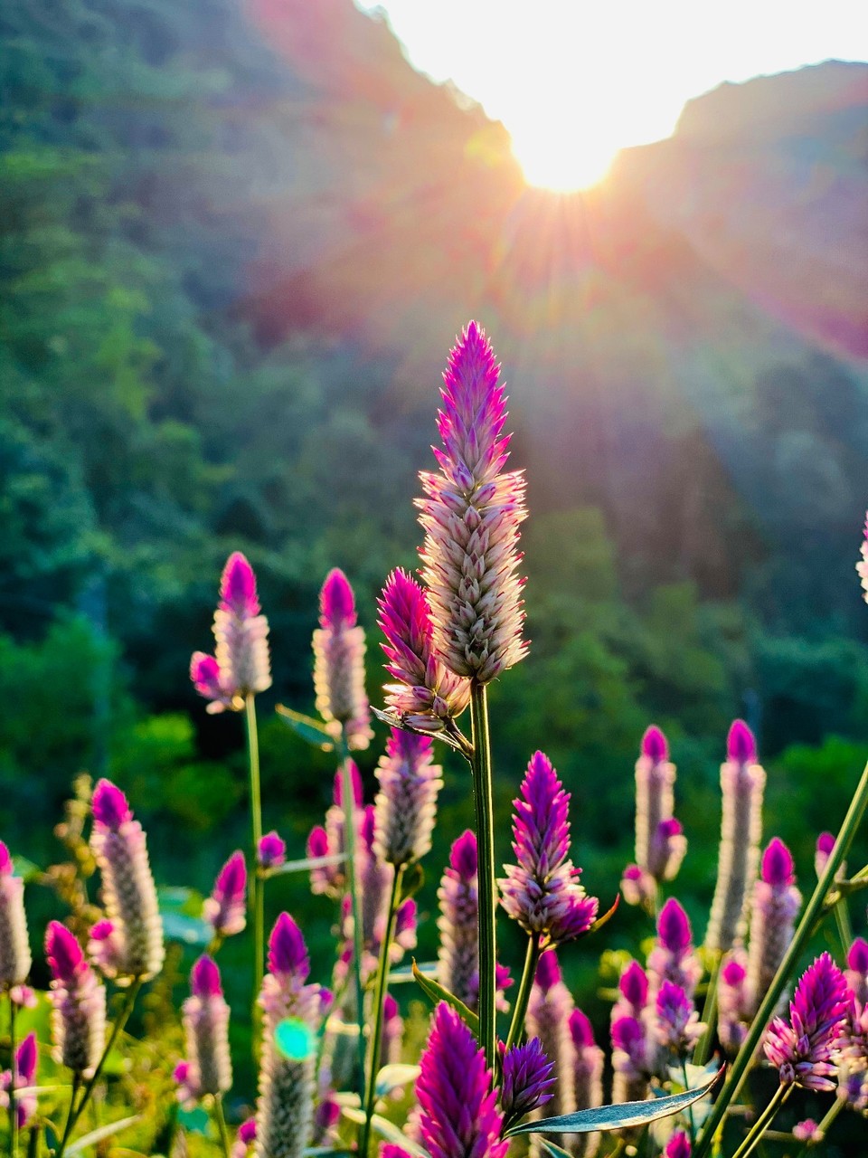 mmexport1571495789983