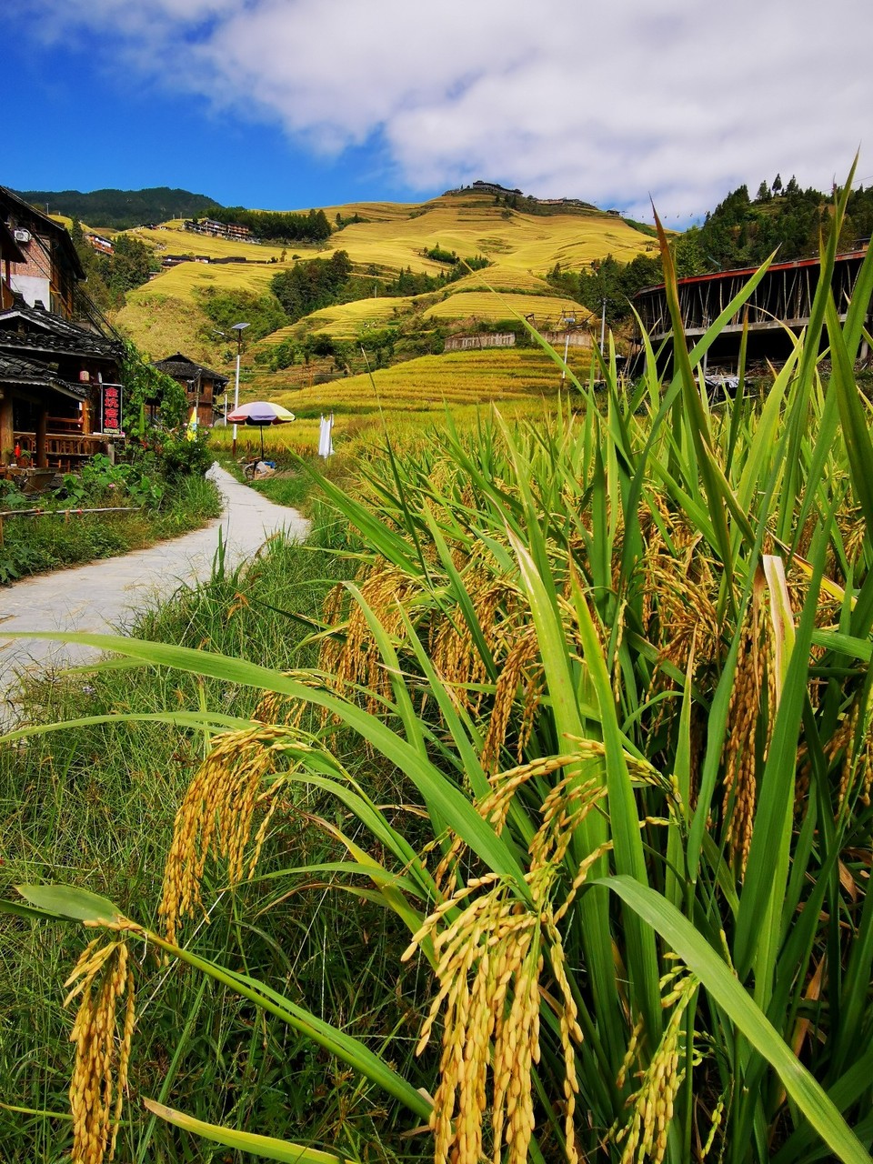 mmexport1571456597574