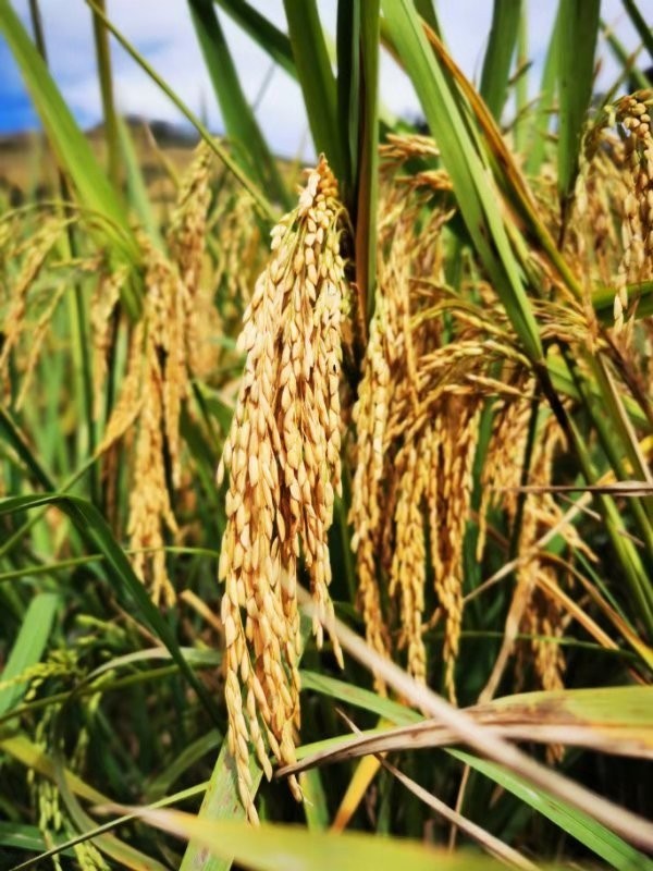 mmexport1571456577172