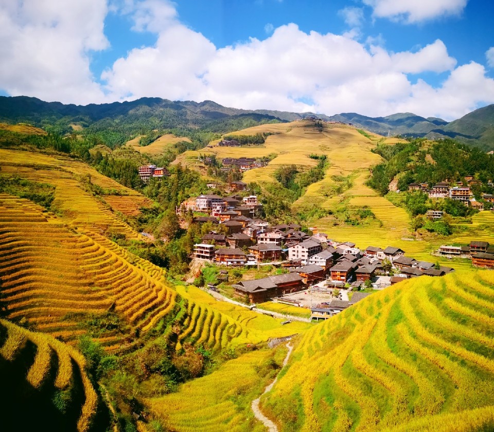 IMG_20191019_131951_mh1571492587191