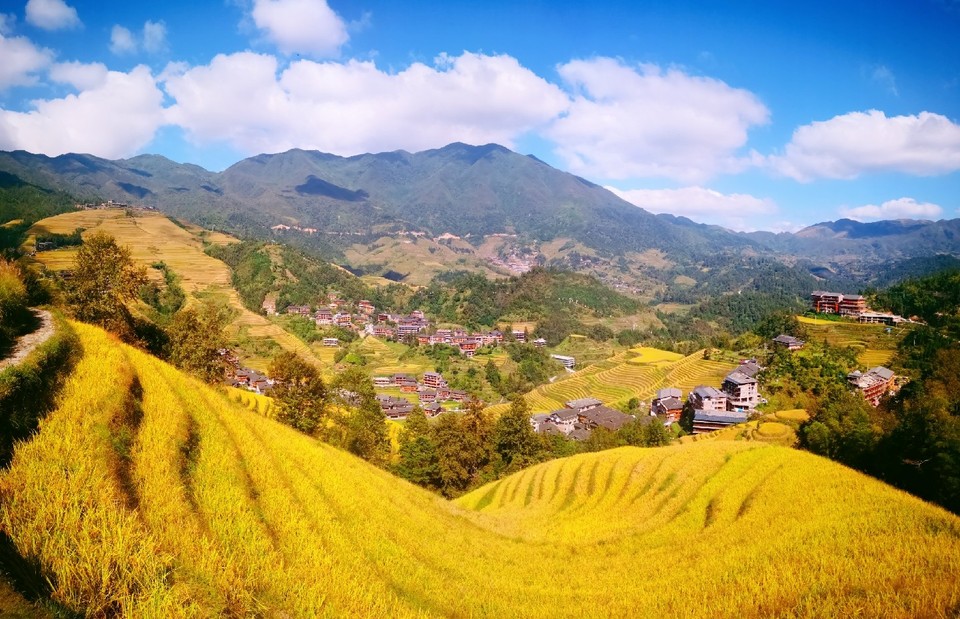 IMG_20191019_140358_mh1571492638654