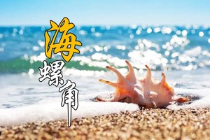 广州出发 ！特惠99元【惠东海螺角】海岸线捡海螺，赏巨石阵，最美浅海戏水