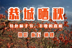 元旦/周末【恭城柿子+黄姚2日，高铁4人成行】古镇静享慢时光，东潭岭俯瞰全景黄姚，走进中国月柿之乡