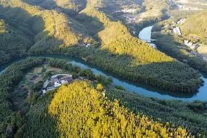 佛山出发精品团！【广宁古水河画廊】古水河郊野徒步，带你一路邂逅竹海、田园、溪流，品广宁云吞