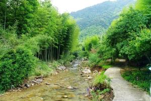 佛山出发精品团！乡村徒步【从化星溪线徒步】从化最美星溪线十里竹林，品山泉水豆腐花，特色竹筒饭