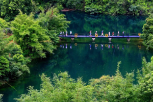 广佛出发！特价99元！休闲登山【肇庆鼎湖山】“北回归线上绿宝石”避暑纳凉之处。天下第一宝鼎问鼎祈福+飞水潭瀑布溯溪玩水