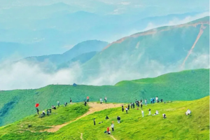 周六晚，广佛出发！【阳春鸡笼顶1天1夜】徒步阳春鸡笼顶，打卡美粤西最美高山大草原，赏数千亩高山杜鹃花