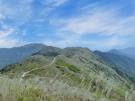广州出发，特惠109元【惠东大南山】广东小武功山，珠三角最美高山草原大南山
