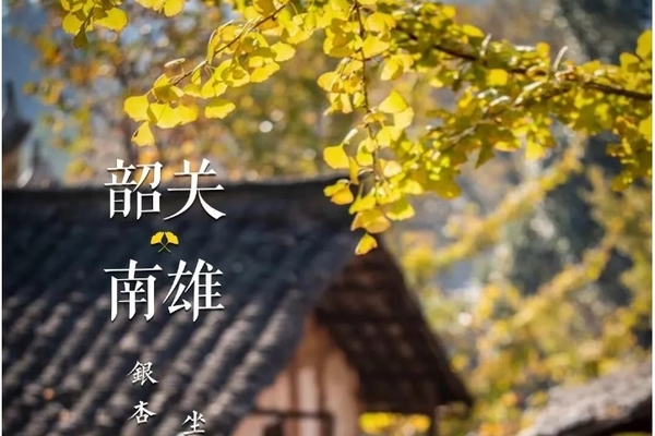 广佛出发！【南雄银杏温泉2日，汽车】299元含温泉酒店！南雄银杏+汤溪温泉+网红铁轨+南华禅寺祈福！