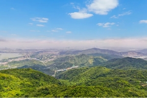 佛山出发【东莞大岭山+荔木烧鹅】徒步+美食线！徒步大岭山森林公园呼吸负氧离子，品尝东莞美味烧鹅