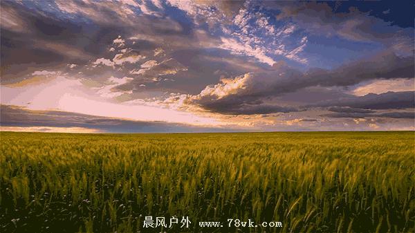 微信图片_1.gif