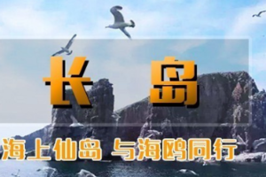 【清明 | 长岛】】3天活动【海上仙山-蓬莱-长岛-庙岛-万鸟岛-月亮湾】享最美海岛浪漫假期