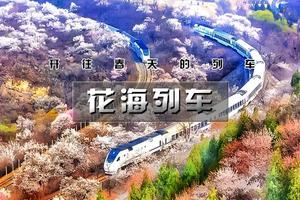 【清明 | 花海列车】1天活动【开往春天的列车の枝花正盛-春光正好-长城内外-分外妖娆-居庸关长城】