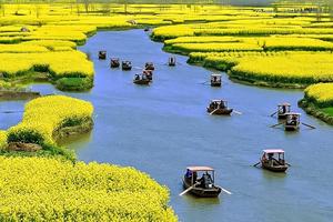 【周末 | 扬州兴化】火车团【三月下扬州の兴化油菜花海-李中水上森林-瘦西湖-何园】