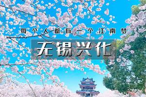 【清明 | 江南B线】4.3晚-6【烟雨江南の太湖鼋头渚樱花·网红拈花湾·蠡园桃花·兴化油菜花】