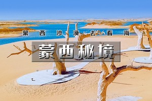 【清明 | 蒙西秘境】4.3晚-6【一半沙漠一半海の网红乌海-西部梦幻峡谷-五当召-古力脑包】